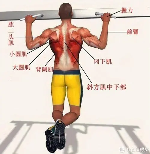 游戏原画专业河北大专有哪些